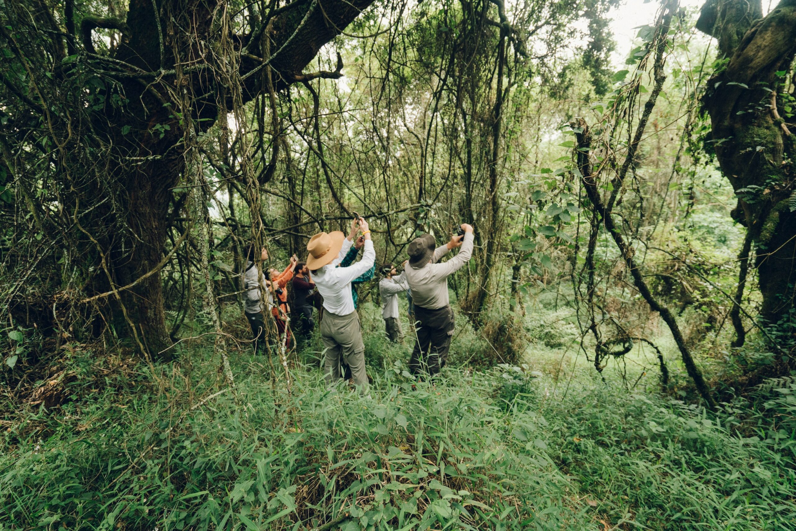 Bwindi Uganda